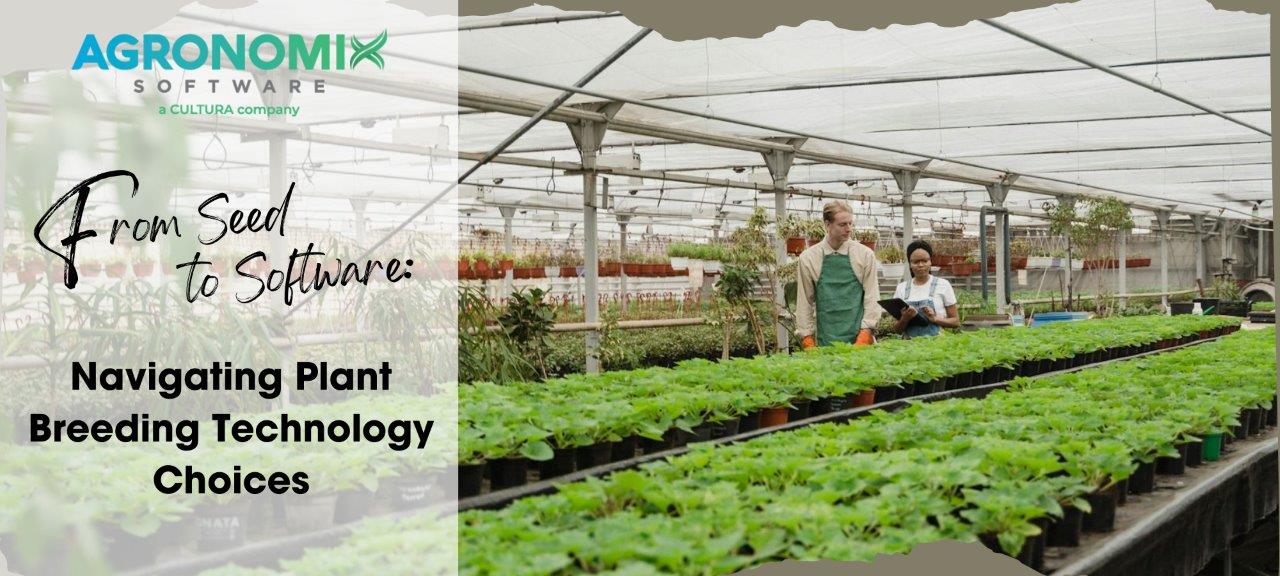 202411 From Seed To Software